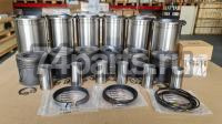 201V02500-6126 поршневой комплект SINOTRUK, MC11, SITRAK C7H, HOWO T5G 