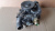 120-8402 Водяной насос, помпа, двигатель CATERPILLAR