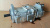 705-51-20370 насос гидравлики KOMATSU D65