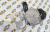 U5MW0208 помпа PERKINS 1104 U5MW0208 помпа PERKINS 1104