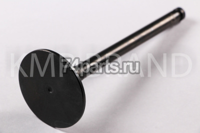 3142H071 клапан впускной PERKINS — копия