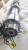 1007408 распредвал CATERPILLAR  3406C